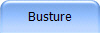 Busture